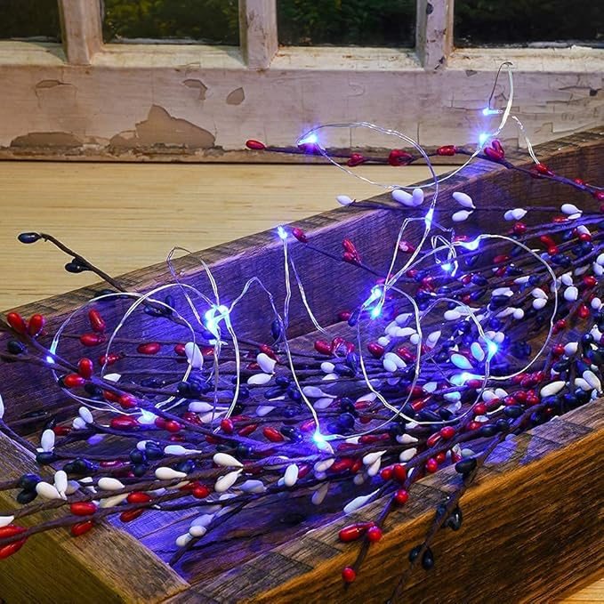 2 Pack Solar Powered Fairy String Lights Outdoor Waterproof 8 Modes Twinkle Christmas Decorations Lights, Each | Lumora