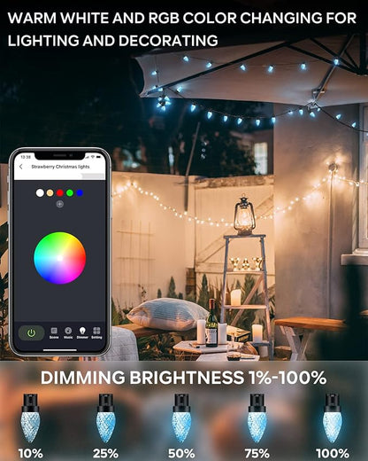 Dynamic C9 Christmas Lights Outdoor, 33Ft 50 LED Smart RGB, APP Remote Controlled, Connectable Waterproof Music Xmas Eaves Decoration