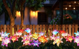 Solar Lights Outdoor Garden Decor, 6 Pack of 24 Lily Flowers Solar Lights, 7 Color Changing Solar Flowers Outdoor | Lumora