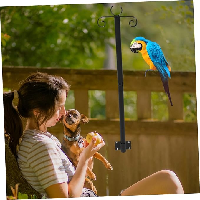 Totority 2sets Outdoor Hanging Light Support Rods Heavy Duty Poles for String Lights and Bird Feeders Easy | Lumora