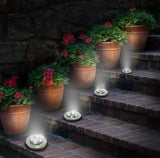 Solar LED Disk Lights - 4 LEDs, Outdoor Ground Landscape Lights for Lawn, Garden, Patio, Pathway - Set of 4 | Lumora