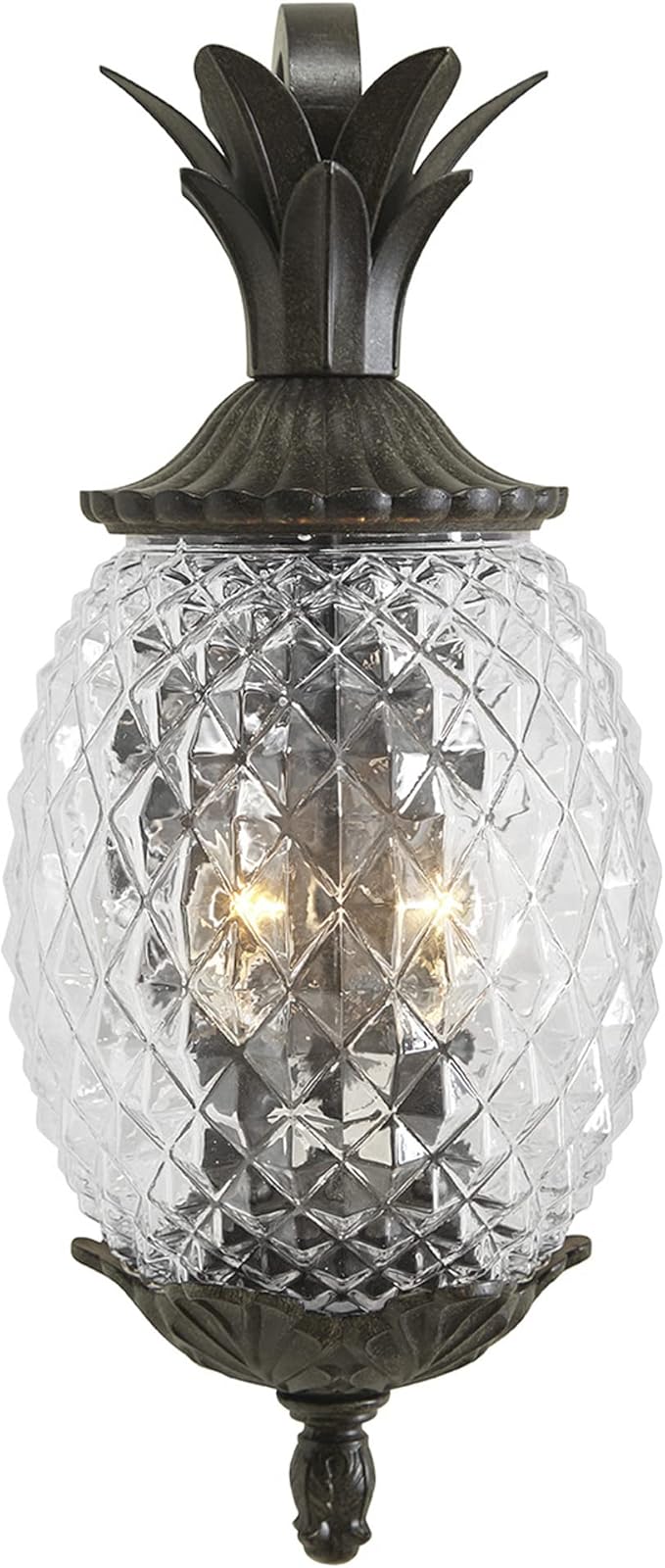 Acclaim 7502BC Lanai Collection 2-Light Wall Mount Outdoor Light Fixture, Black Coral