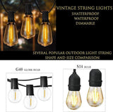 Outdoor String Lights 66ft with LED Filament Bulbs 40+2(Spare) Dimmable Shatterproof Waterproof, for Indoor/Outdoor | Lumora