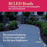 Solar Ground Light 8 Packs, Upgraded 16-LEDs Solar Outdoor Light for Patio, Mower-Friendly Withstand 200lbs Solar | Lumora