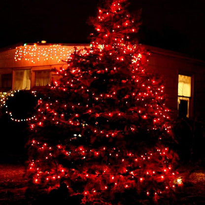 TW SHINE Christmas String Lights, 20FT 100 Count Incandescent White Wire Christmas Mini Lights, Waterproof Xmas String Lights for Outdoor Indoor Home Party Yard Decorations, Red