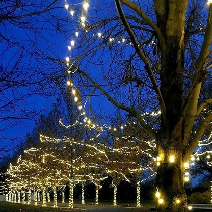 Novelty Lights Vintage Style T5 Warm White LED Christmas Lights, 35 Feet Green Wire String of 70 Mini Bulbs, UL Listed Indoor/Outdoor Tree Lighting