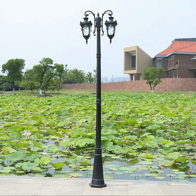 Outdoor Lamp Post Light Lamp Post Lights Outdoor,2-Head Street Light Anti-Rust Aluminum High Pole Light European | Lumora