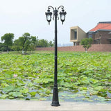 Outdoor Lamp Post Light Lamp Post Lights Outdoor,2-Head Street Light Anti-Rust Aluminum High Pole Light European | Lumora