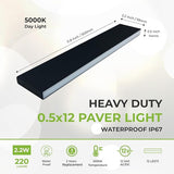 LUMENGY Paver Light Slim 0.5x12 Inch (0.55 x 11.8) 5000K Daylight Glare-Free Steel Lighting for Pavers, Brick | Lumora