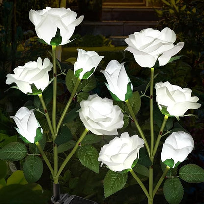 Solar Garden Lights, Solar Outdoor Lights with More Realistic 10 Rose Waterproof Solar Powered Flowers for Outside Patio Yard Pathway Decorations, 2 Pack White