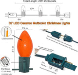 C7 Christmas Lights Outdoor 25Ft LED Christmas String Lights with 27 Multicolor LED Bulbs(2 Spare), Vintage | Lumora