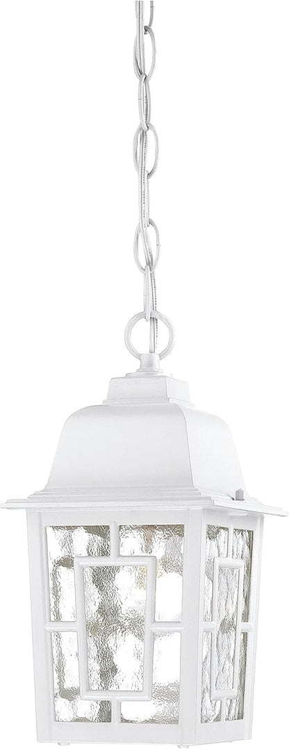 Nuvo Lighting 60/4931 Banyon One Light Hanging Lantern 100 Watt A19 Max. Clear Water Glass White Outdoor Fixture