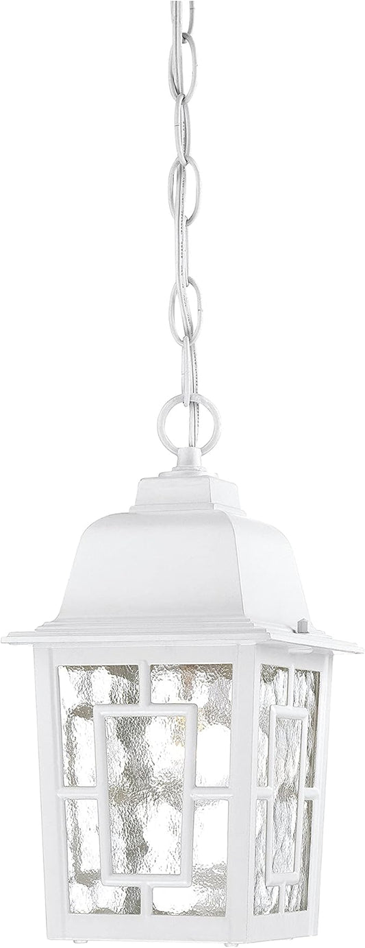 Nuvo Lighting 60/4931 Banyon One Light Hanging Lantern 100 Watt A19 Max. Clear Water Glass White Outdoor Fixture