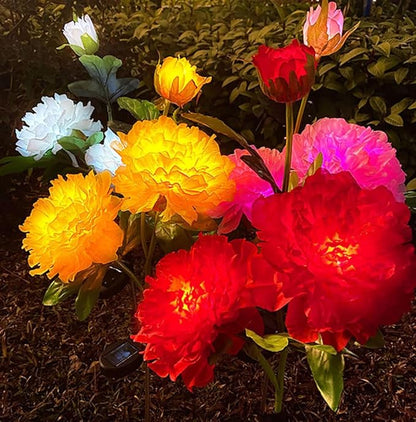 Solar Peony Flower Lights 2pcs Waterproof Garden Outdoor Lights Led Decorative Flowers Stake Light for Home Backyard Pathway Patio Yard Walkway Decoration (Rosy)