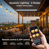 100FT Outdoor String Light with S11 Plastic Bulbs, Low-Voltage LED Patio Light with App & Remote, Music Sync, 4 | Lumora