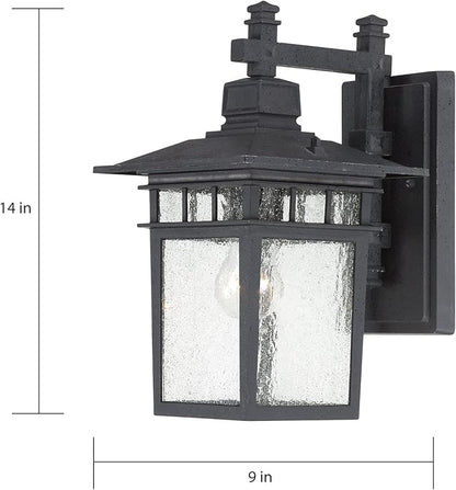 Nuvo 60/4959 One Light Outdoor Wall Mount, 14", Black
