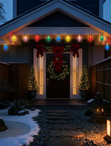 16Ft Jumbo LED Multicolor Valentine's Day String Lights Outdoor with 10 T13 LED Strawberry Bulb, Clear Multicolor | Lumora