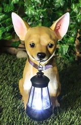 Ebros Picante Mexican Chihuahua Dog Decor Path Lighter Statue 12.5" Tall with Solar LED - Garden Figurine Light | Lumora