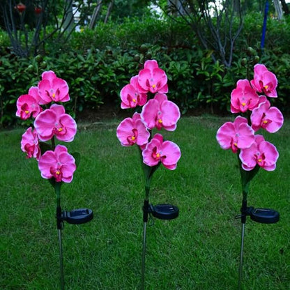 Aolyty Solar Garden Lights Outdoor, IP65 Waterproof Solar Stake Lights Butterfly Orchid Flowers Lights for Lawn Patio Backyard Landscape Party Decorative (Pink, 2 Pack)