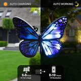 Ground Lights, Equipped with 4 Solar Lights for Outdoor Waterproofing, 14 LED Solar Landscape Lighting, Suitable | Lumora