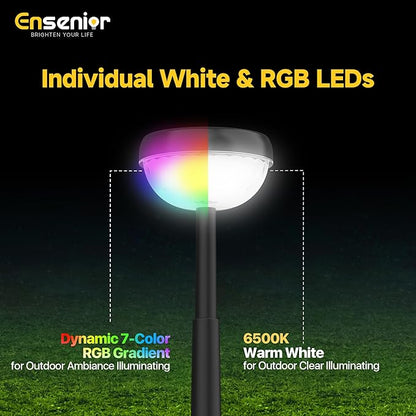 Ensenior Solar Pathway Lights IP65 Waterproof, RGB Color Changing & 6500K Cool White, 8-16Hr Runtime, Flower Pattern Garden Lights for Walkway Porch Yard - 10 Pack