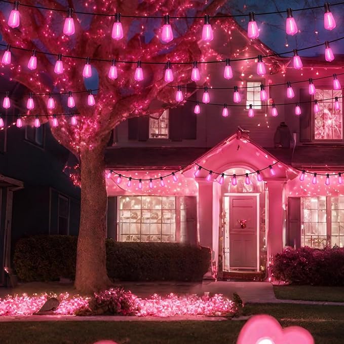 LAMPHOME 2-Pack 26Ft ST38 Pink Valentine's Day Patio Lights ，Outdoor String Lights with 12+1 ST38 Edison Bulbs | Lumora