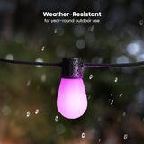 Feit Electric 24ft Smart Outdoor String Lights, 12 Socket Color Changing Works with Alexa/Google Assistant, Heavy | Lumora