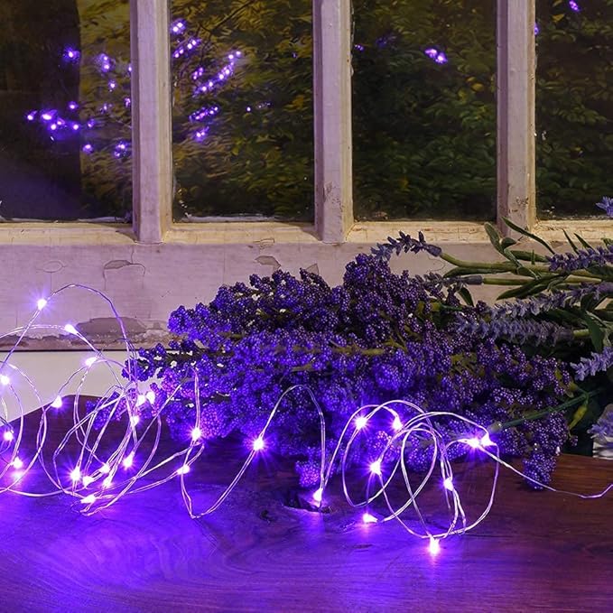2 Pack Solar Powered Fairy String Lights Outdoor Waterproof 8 Modes Twinkle Christmas Decorations Lights, Each | Lumora