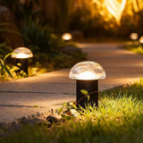 VENUS MANUFACTURING Low Voltage Landscape Pathway Lighting 6PK 1.5W LED Mushroom Lights 35Lumen Wired Walkway Light | Lumora
