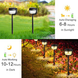 Outdoor Solar Pathway Lights, IP64 Waterproof Solar Powered Landscape Spot Light, 2 Pack Solar Decoration Garden | Lumora
