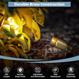 Gardencoin Solid Brass Outdoor Landscape Spotlights, 12V LED Low Voltage Wired Waterproof Landscape Lighting | Lumora