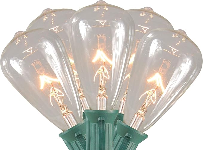 Northlight Edison Glass Indoor Outdoor Patio Light Set - Clear - 9' Green Wire - 10ct