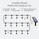 Brightech Ambience Pro Solar Powered Outdoor String Lights, 48 ft Commercial Grade Waterproof Patio Lights | Lumora