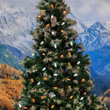 Novelty Lights 24FT 70 LED C6 Christmas String Lights, Outdoor Tree Commercial Grade LED Lights, Permanent | Lumora