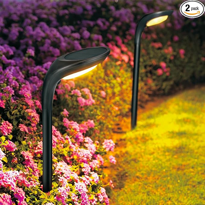 Solar Outdoor Pathway Lights, 2 Pack, Waterproof IP65, Stylish Snake Head Shape Design, Warm/Cool Light Dual Modes Switchable, Efficient Landscape Lighting for Garden, Walkway, Patio