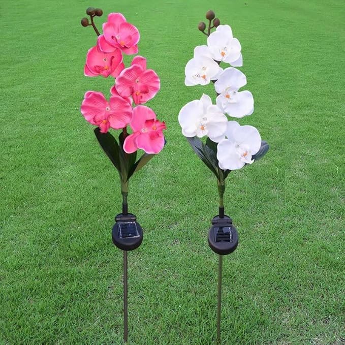 Flower Solar Lights Outdoor 2 Pack Waterproof Solar Garden Lights Phalaenopsis Flowers, Color-Changing Outdoor Lights for Patio, Back Yard, Garden, Lawn, Pathway