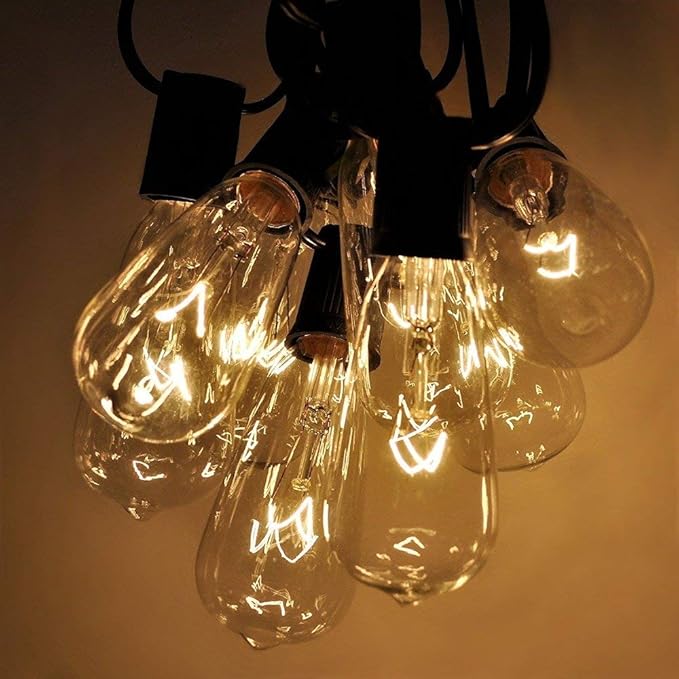 SUNSGNE 20Ft Edison Outdoor String Lights with 22 Clear Edison Bulbs, ST40 Vintage Bulbs String Lights, 7W | Lumora