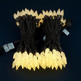 140 Warm White Strawberry One-Piece LED Christmas Lights, Pack of 2 Strands 70 Count 36 ft, High Waterproof UL | Lumora