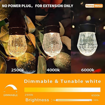 HVS Smart Outdoor String Lights (Without Power Plug ),LED 24Ft-12 Bulbs Tunable Dimmable Warm White Cafe Patio Lights,APP Control 2.4GHz WiFi Waterproof Acrylic Diamond Bulb Work with Alexa Google