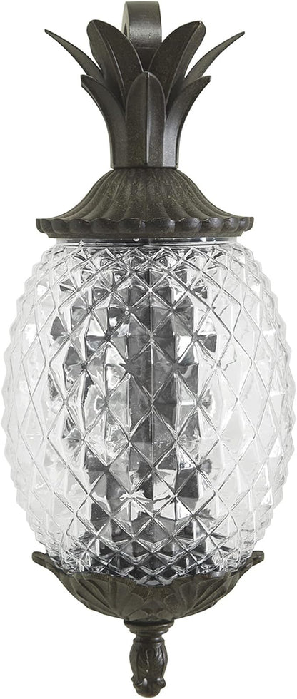 Acclaim 7502BC Lanai Collection 2-Light Wall Mount Outdoor Light Fixture, Black Coral