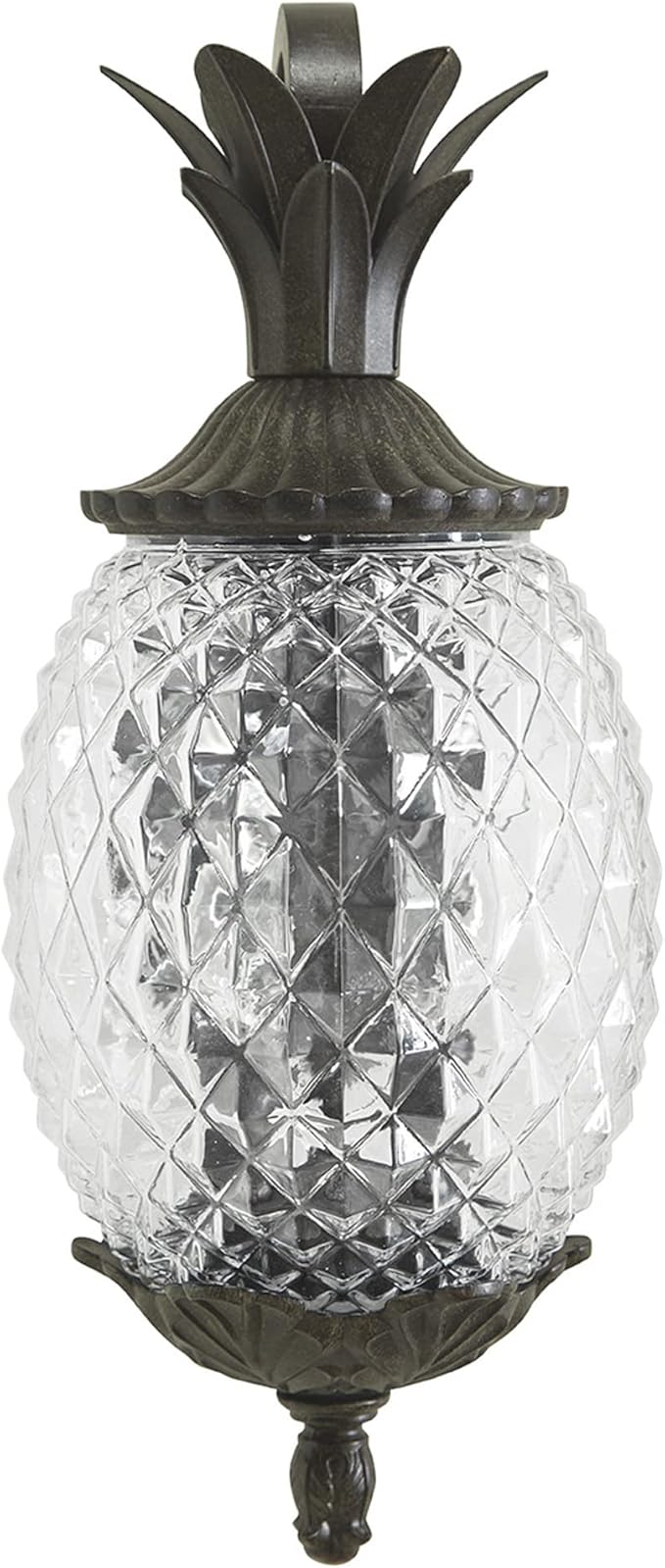 Acclaim 7502BC Lanai Collection 2-Light Wall Mount Outdoor Light Fixture, Black Coral