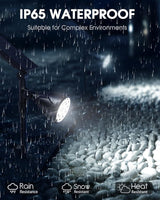 DBF Solar Spot Lights Outdoor Waterproof IP65, Cool White, 600LM High Bright, 2 Brightness Modes, 18 LED, Auto | Lumora
