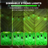 LAMPHOME Green St. Patrick's Day LED Outdoor String Light, 26Ft st Patrick's Day Patio Lights 12+1 Edison | Lumora