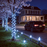 100 LED White Christmas Lights with 35 Ft Green Wire, UL Certified and Commercial Grade LED String Lights, for | Lumora