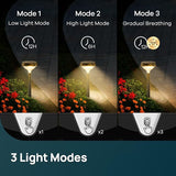 Linkind Solar Pathway Lights 4 Pack, Solar Lights Outdoor, Warm White Path Waterproof for Walkway Yard Landscape | Lumora