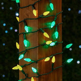 Novelty Lights 24FT 70 LED C6 Christmas String Lights, Outdoor Tree Commercial Grade LED Lights, Permanent | Lumora