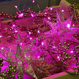 2 Pack Solar Powered Fairy String Lights Outdoor Waterproof 8 Modes Twinkle Christmas Decorations Lights, Each | Lumora