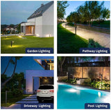 Gardenreet Black Brass Low Voltage Pathway Lights Kit(8 Pack) 12V LED with 150W Low Voltage Transformer and | Lumora