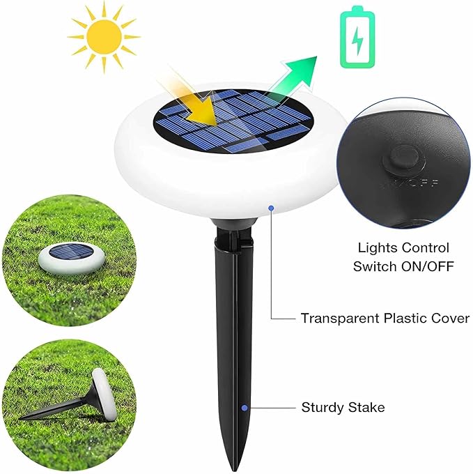 Colorful Pathway Solar Light Set of 4, Decorative Weatherproof Auto On/Off Outdoor Lights - Decorate Your Garden, Landscape, Patio, Pool, Yard with Ultra-Bright LED Light (Rainbow, 4)