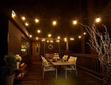 Bulbrite 25 ft, 15-Socket (E12) Decorative String Light Kit with Clear Incandescent (G12) Light Bulbs, 10 Watt | Lumora